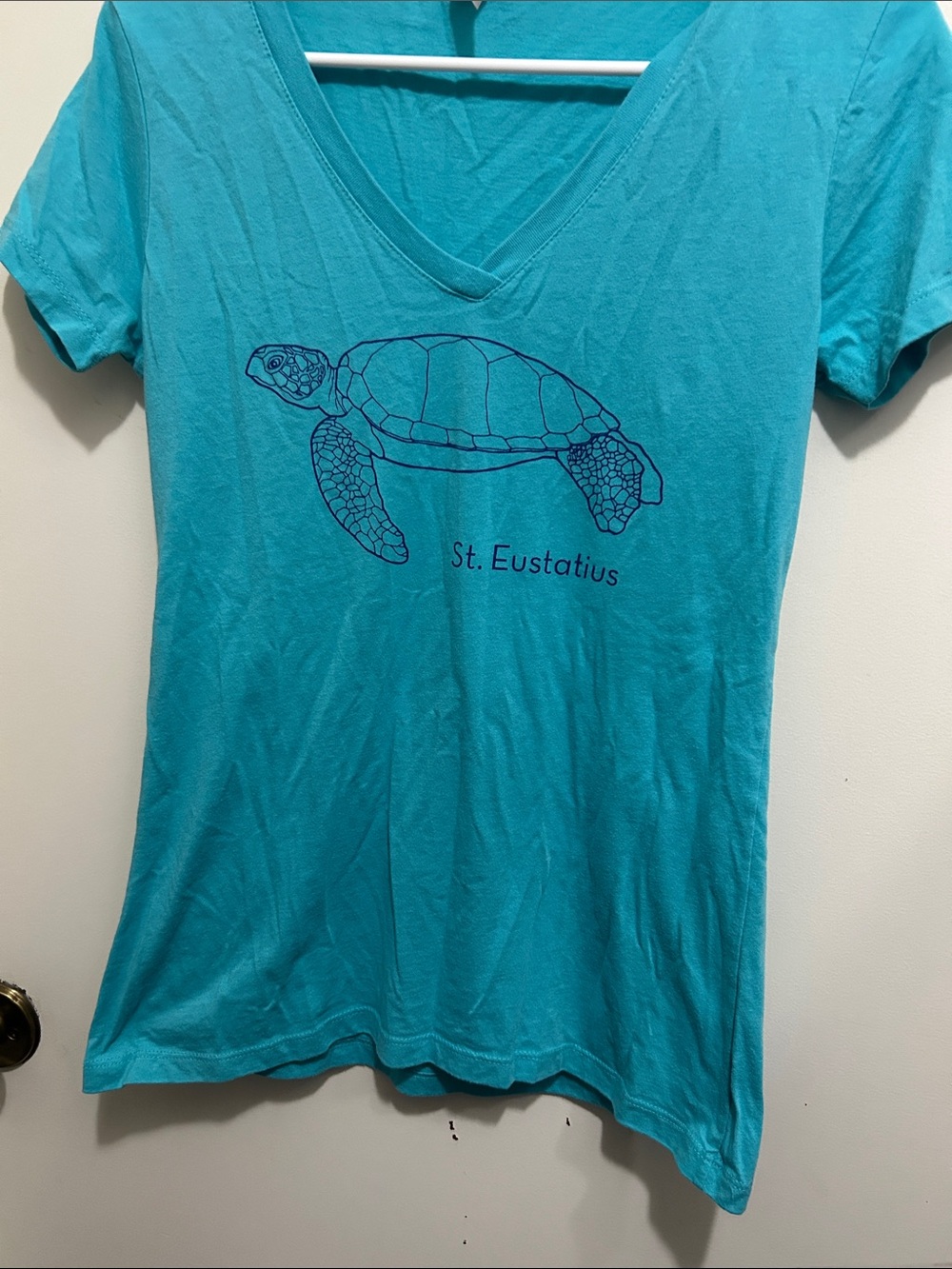 St. Eustatius Sea Turtle V-Neck Tee - Turquoise